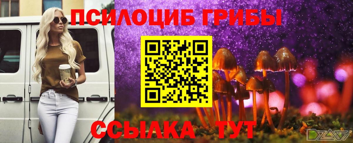 Галлюциногенные грибы GOLDEN TEACHER Керчь