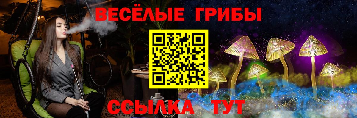 Галлюциногенные грибы Cubensis  Галлюциногенные грибы MAGIC MUSHROOMS  Керчь  Вход с VPN 